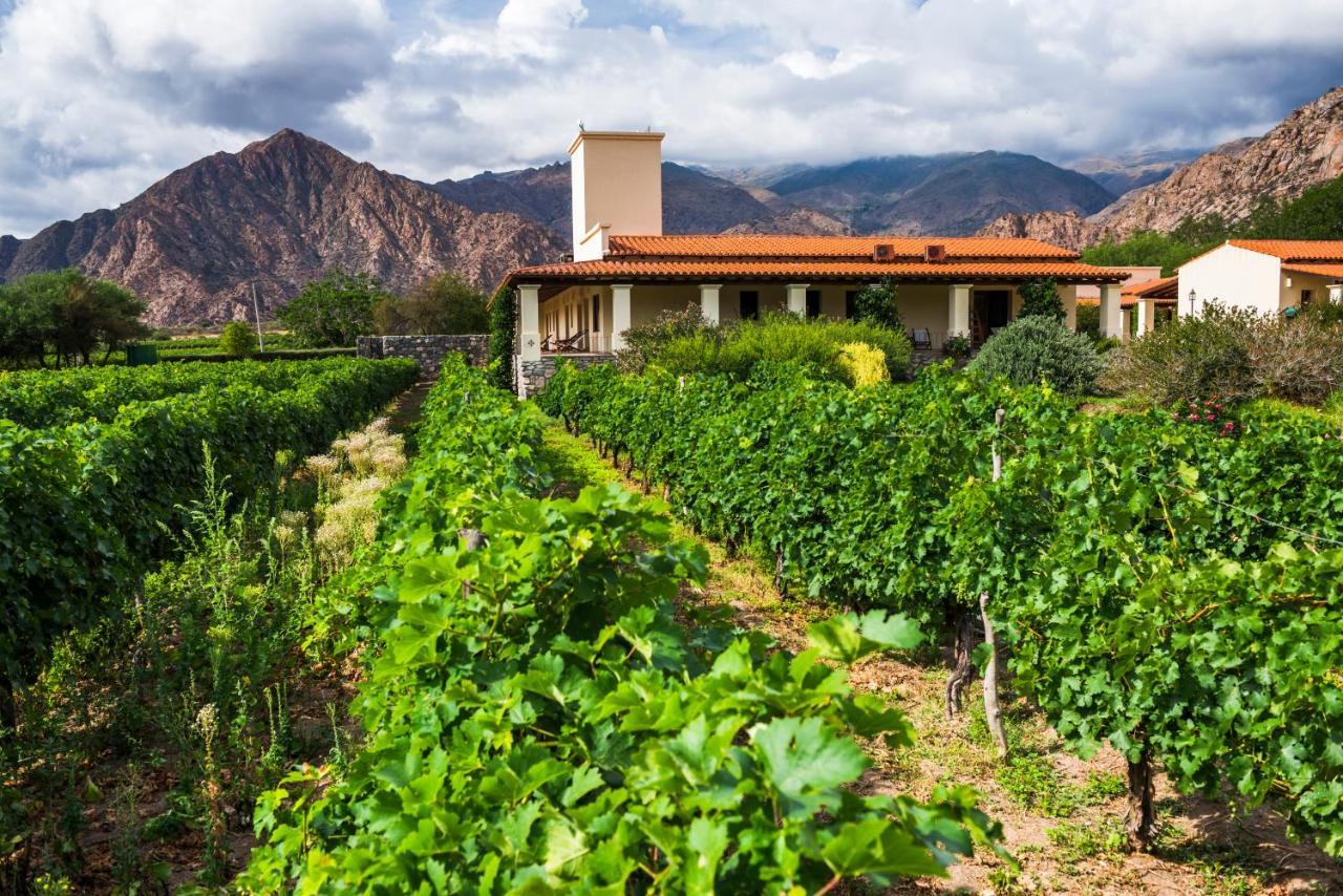Vinas De Cafayate Wine Resort Exterior photo