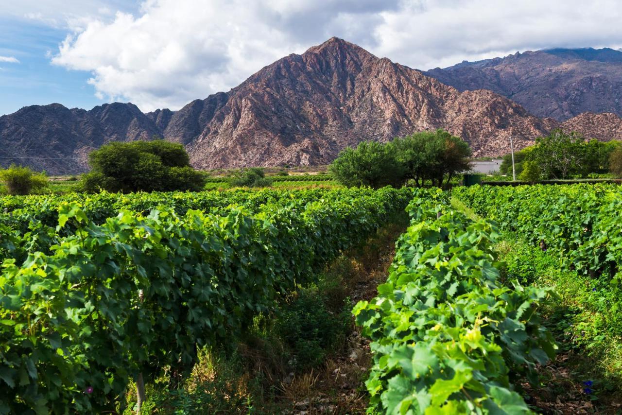 Vinas De Cafayate Wine Resort Exterior photo